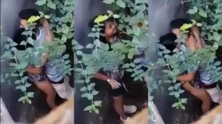 Bokep Indo Ngintip ABG Mesum Dibalik Semak-semak