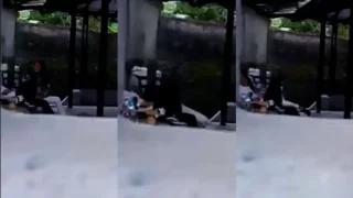 Bokep Indo Ngintip Remaja Nyepong Kontol Diteras