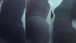 Bokep Indo BBW Montok Toket Gede Mandi