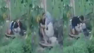 Bokep Indo Ngintip Pelajar Jilbab Mesum Dikebun Pepaya