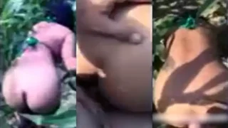 Bokep Indo Tante Seksi Montok Ngewe Dikebun Jagung